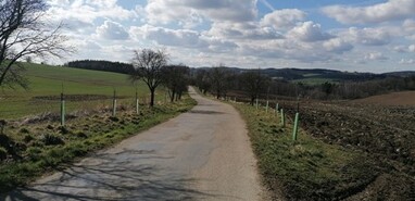 Ovocná alej Nesvačily-Zahořany