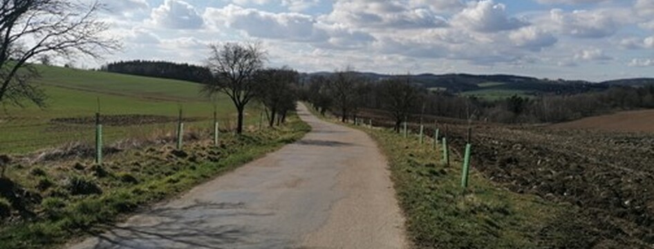 Ovocná alej Nesvačily-Zahořany