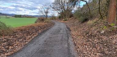 Plavecká cesta